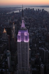 ESB_Purple_Purple_Purple_2013